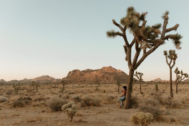 Lesley Sanchez au pied d'un arbre de Joshua, l'emblême de sa marque, pendant un road trip dans l'ouest américain.